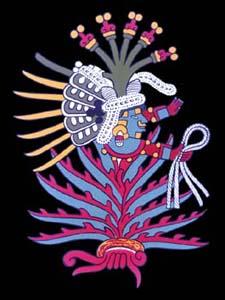 [Mayahuel]